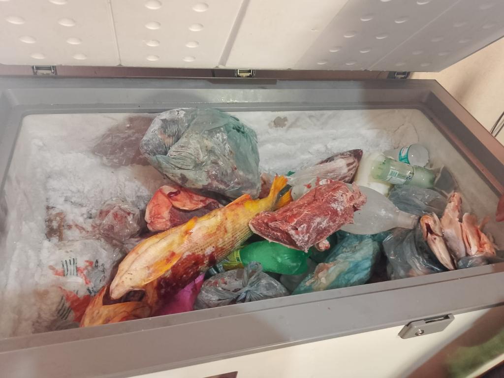 Fiscalização apreende 70 kg de pescado e itens de caça irregular em MT 1 apreensao feira Página Press