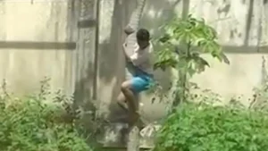 Homem morre após invadir recinto de leoa em parque zoobotânico de João Pessoa 1 Leoa que matou homem em parque na Paraiba Página Press
