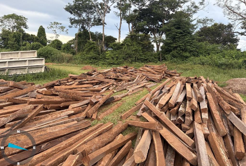 Sema apreende mais de 1,5 mil lascas de itaúba ilegal em propriedade rural 1 WhatsApp Image 2026 03 23 at 13.17.09 Página Press
