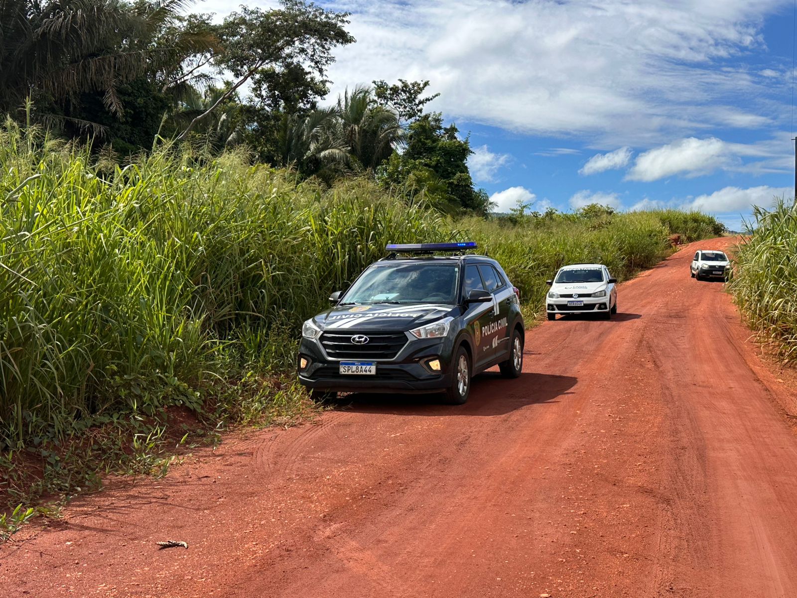 Jovem é encontrado morto em mata com mãos e pés amarrados em MT 3 WhatsApp Image 2026 03 27 at 10.04.14 Página Press