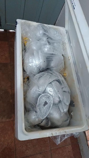Operação Fatura Final mira facção criminosa e cumpre mandados em Sinop 2 d8f037ebd7eea8df9a5d3d7001992b65 midiajur com br Página Press