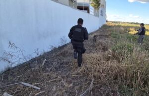 Dois detentos fogem durante trabalho em obra do Fórum em Mato Grosso 1 WhatsApp Image 2026 05 25 at 16.35.561 Página Press