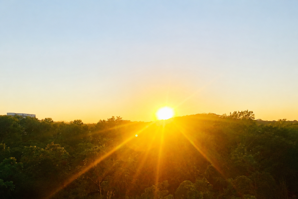 Reprodução