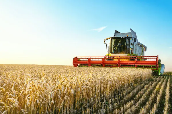 agro Página Press