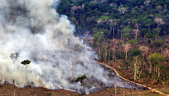 21.09.2010 - Sobrevoo do Estado do Amazonas, municÃ­pio de LÃ¡brea, no sul amazonense. PA (Projeto de Assentamento) Monte. Foto Marizilda Cruppe/EVE/Greenpeace.
Latitude -8.635994
Longitude -66.73111
Altitude 2007.943
