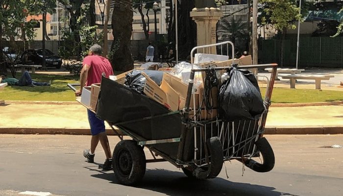 Reprodução