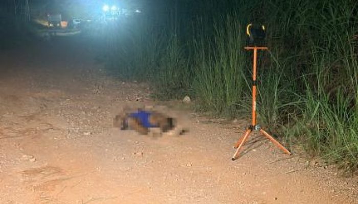 Reprodução / Lapada Lapada