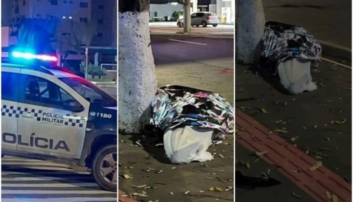 Angélica Gomes/Reprodução