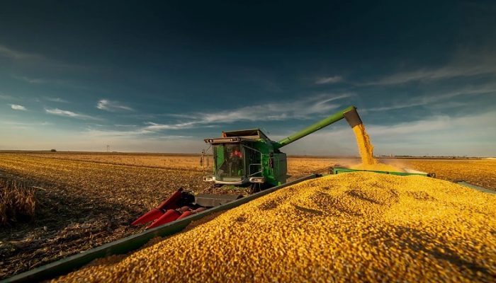 Syngenta