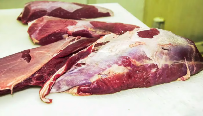 UE quer garantias sobre normas referentes ao uso de antibióticos em produtos do Brasil - Marcello Casal Jr/ Agência Brasil - Arquivo
