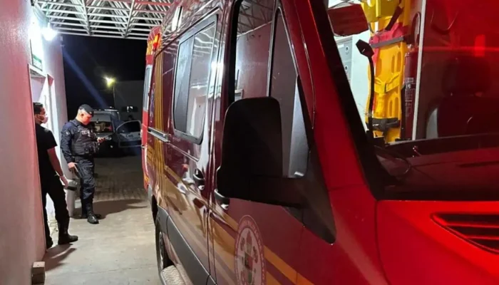 Vítima foi resgatada com vida, mas não resistiu aos ferimentos. – Foto: Reprodução