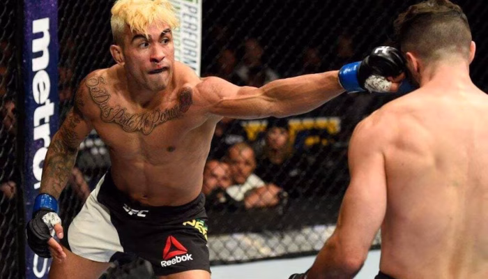 Divulgação/UFC