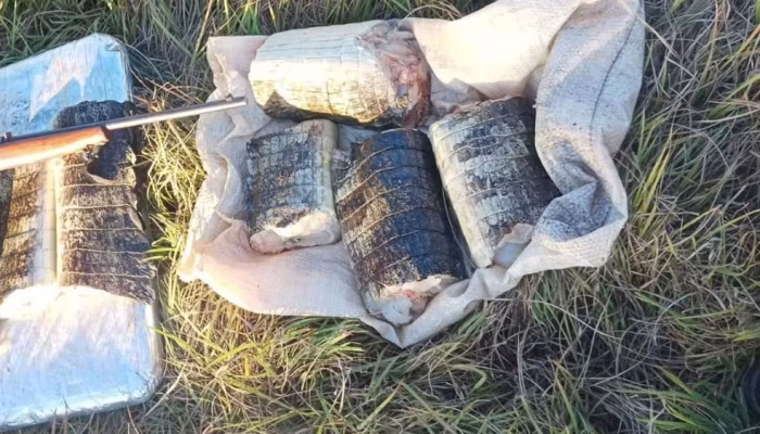 Ação apreende carne de jacaré, pescado irregular, arma de fogo e munições em Poconé. — Foto: Sema