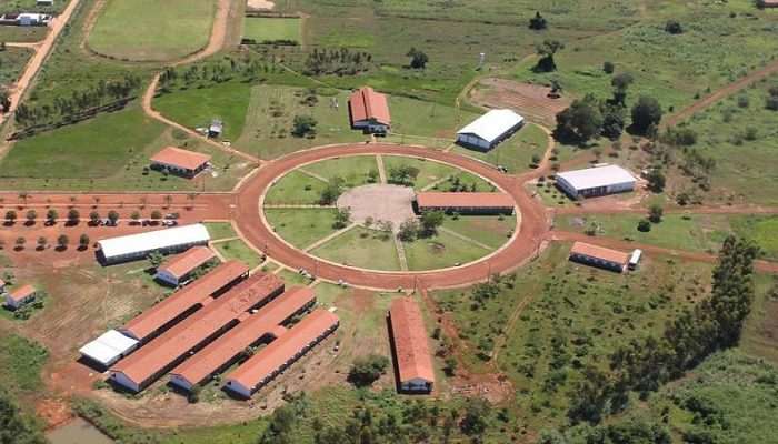 Agência da Notícia